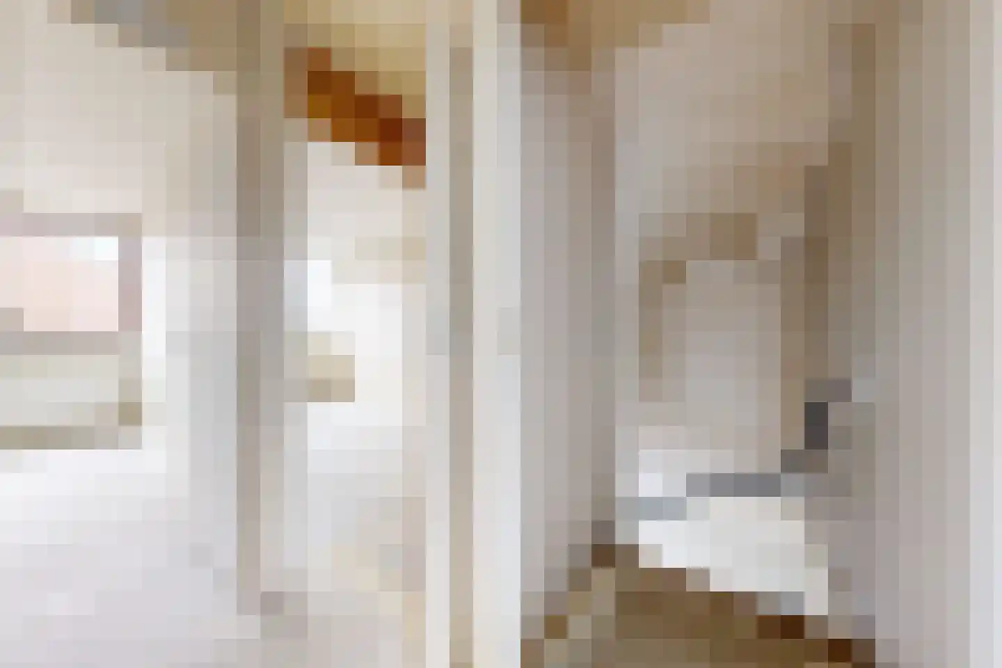 Hertogendal 2 Zevenbergen thumbnail 25