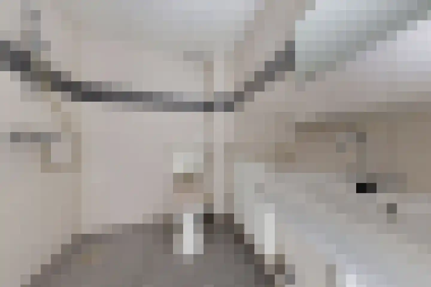 Hertogendal 2 Zevenbergen thumbnail 34