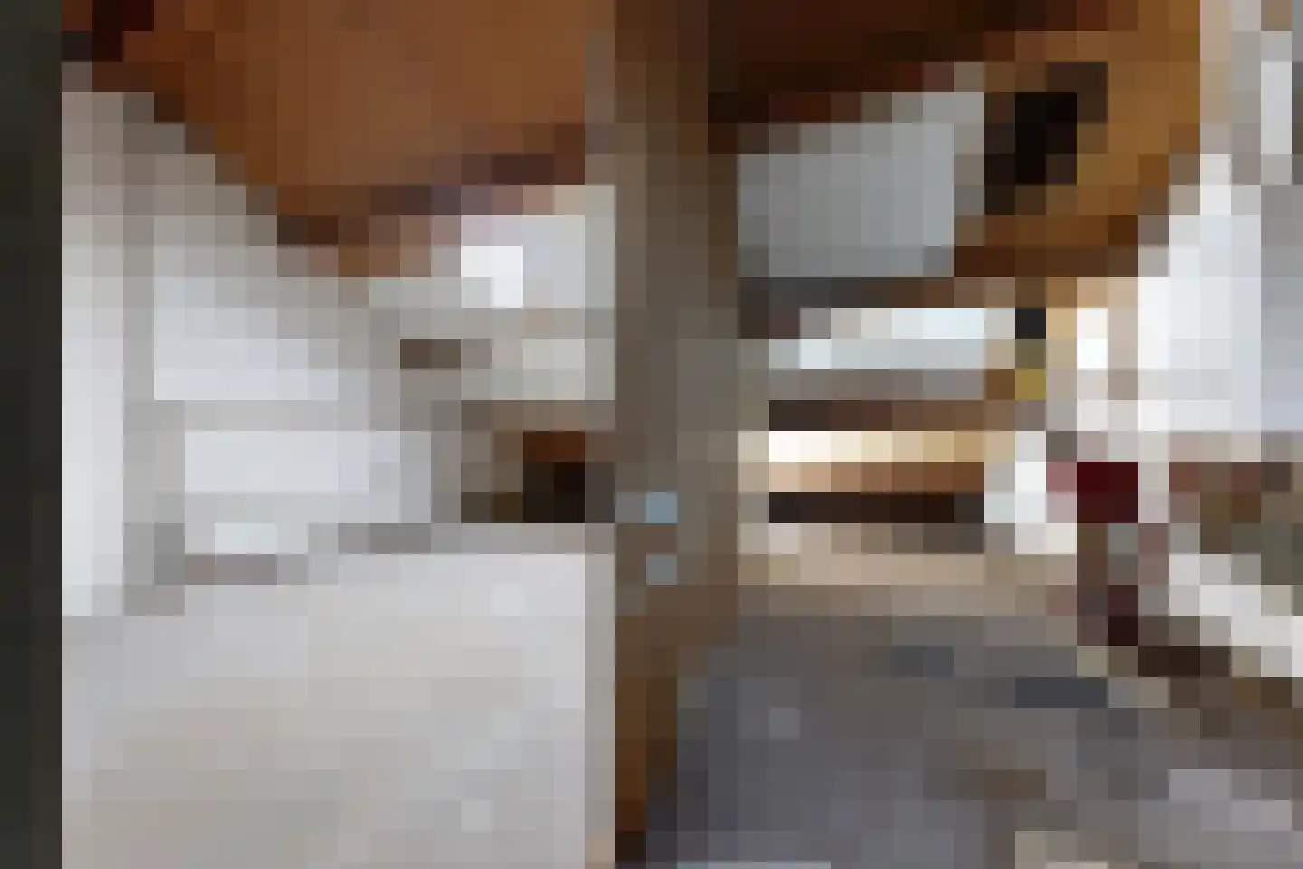 Hertogendal 2 Zevenbergen thumbnail 39