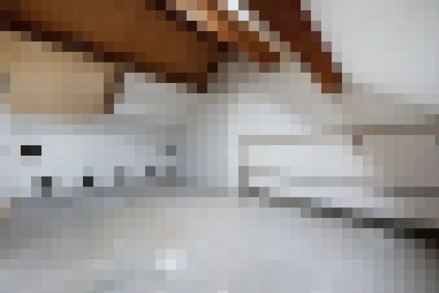 Hertogendal 2 Zevenbergen thumbnail 47