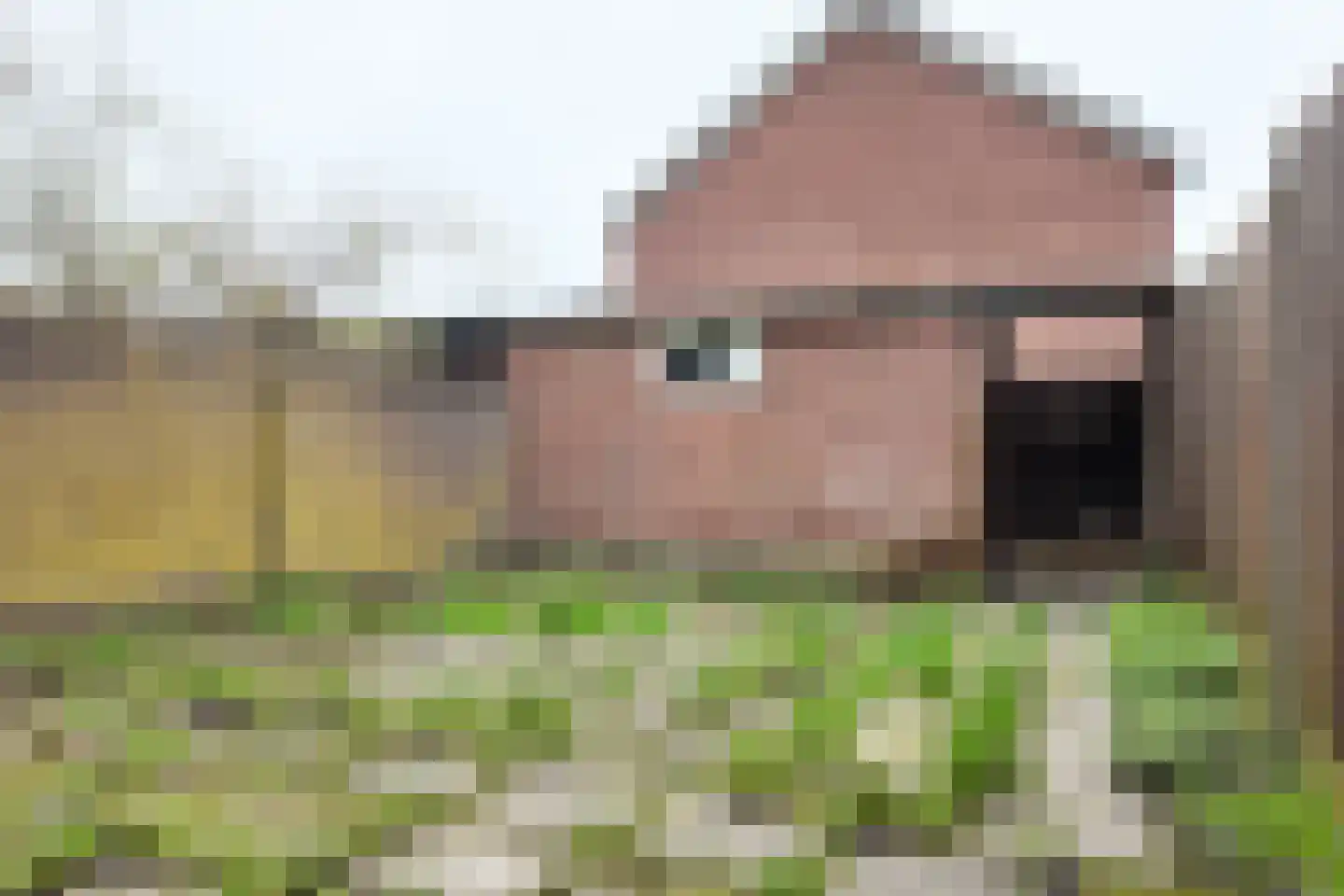 Hertogendal 2 Zevenbergen thumbnail 48