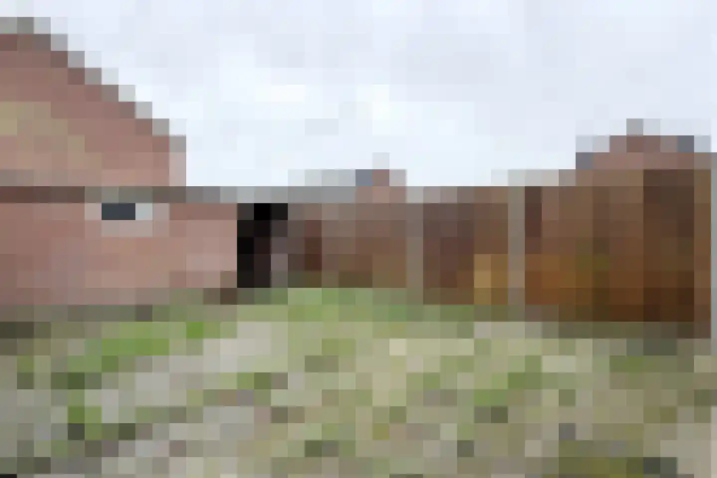 Hertogendal 2 Zevenbergen thumbnail 50