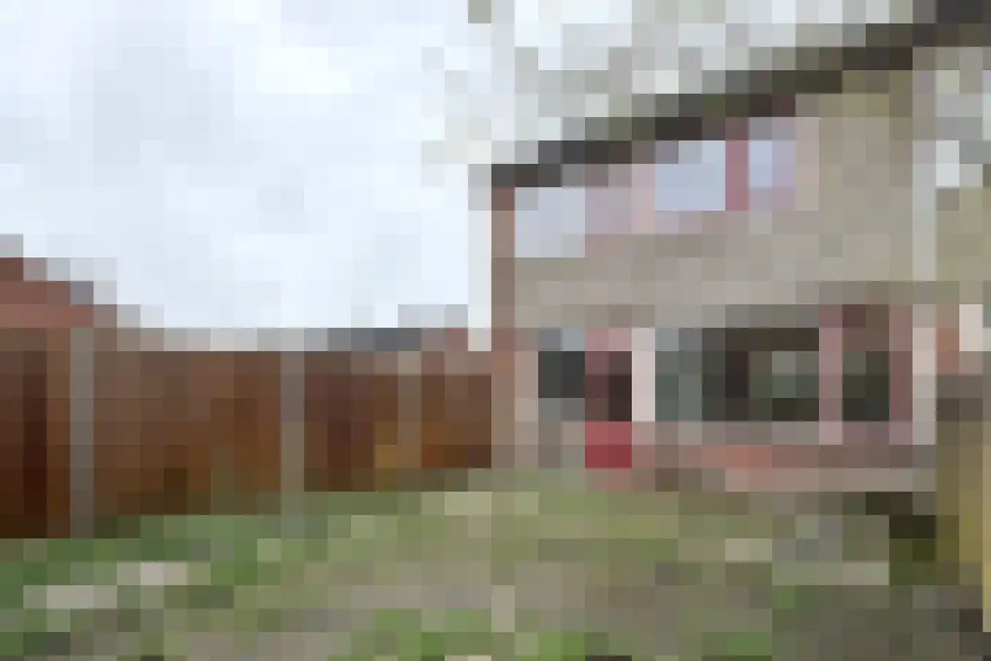 Hertogendal 2 Zevenbergen thumbnail 51