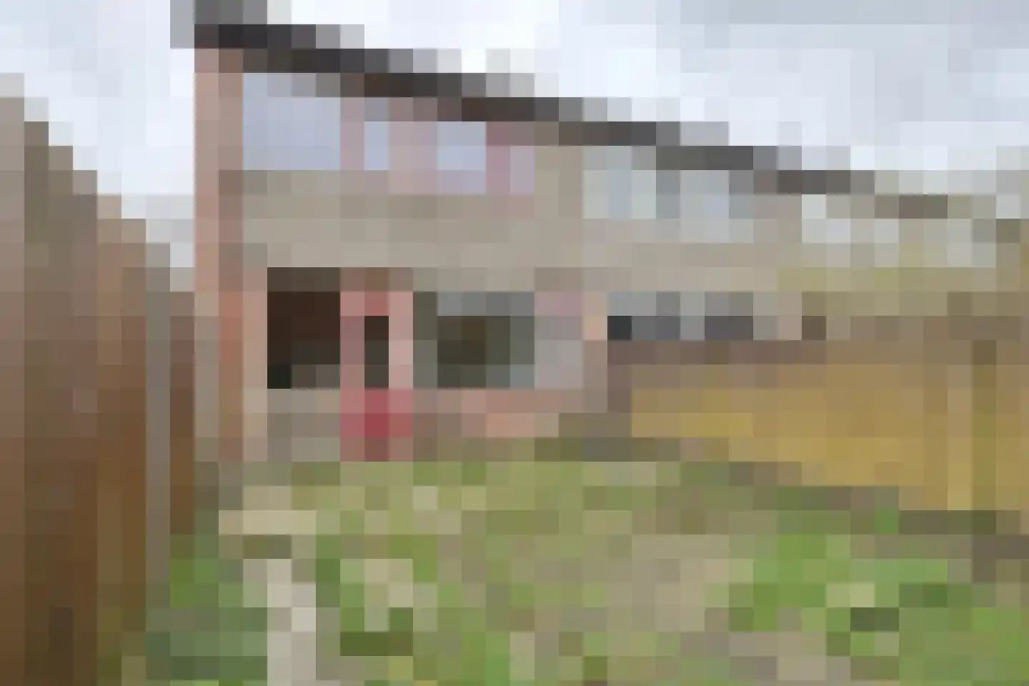 Hertogendal 2 Zevenbergen thumbnail 52