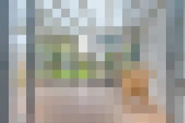 Hertogenhof 10 Goes thumbnail 22