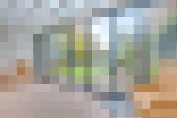 Hertogenhof 10 Goes thumbnail 23