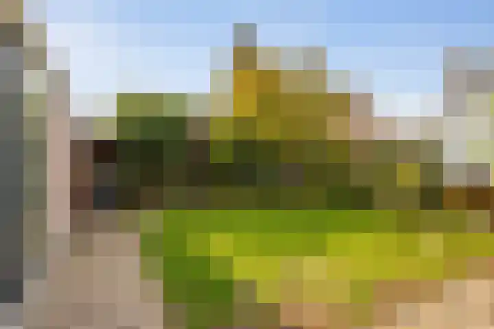 Hertogenhof 10 Goes thumbnail 45