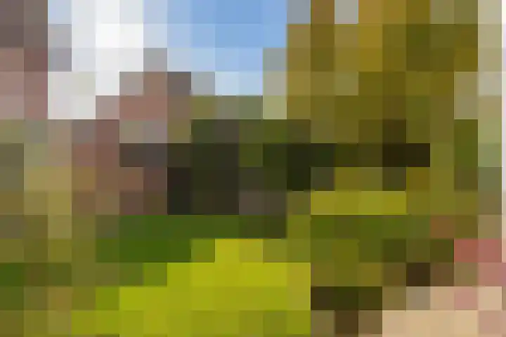 Hertogenhof 10 Goes thumbnail 46