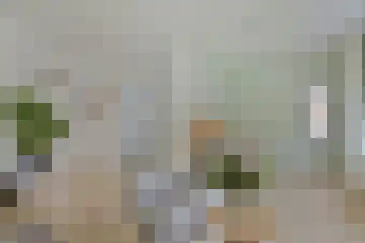 Hertogenhof 8 Goes thumbnail 14