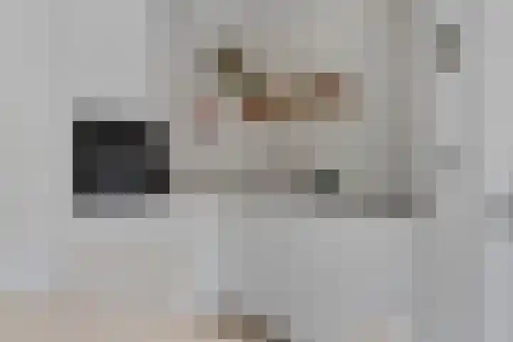 Hertogenhof 8 Goes thumbnail 20