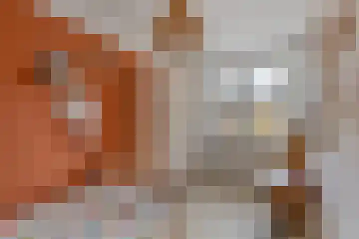 Hertogenhof 8 Goes thumbnail 32