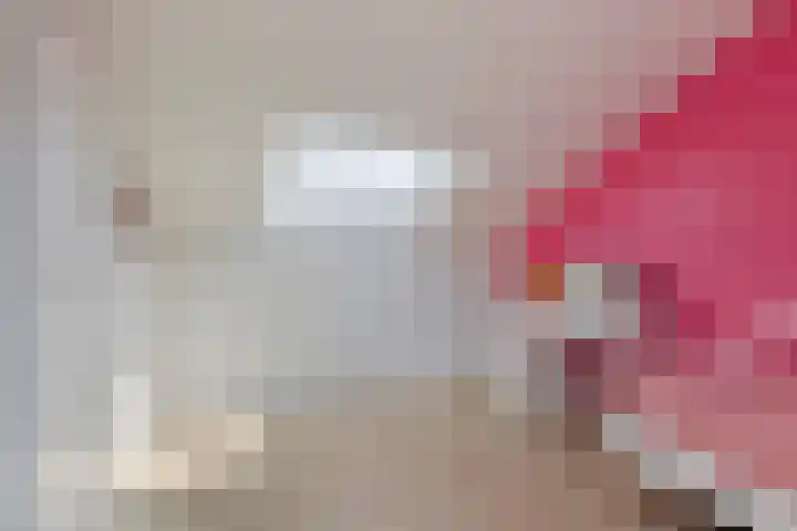 Hertogenhof 8 Goes thumbnail 40