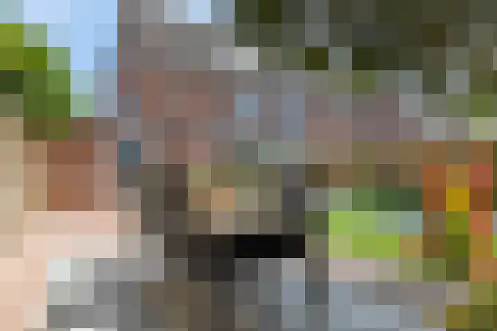 Hertogenhof 8 Goes thumbnail 46