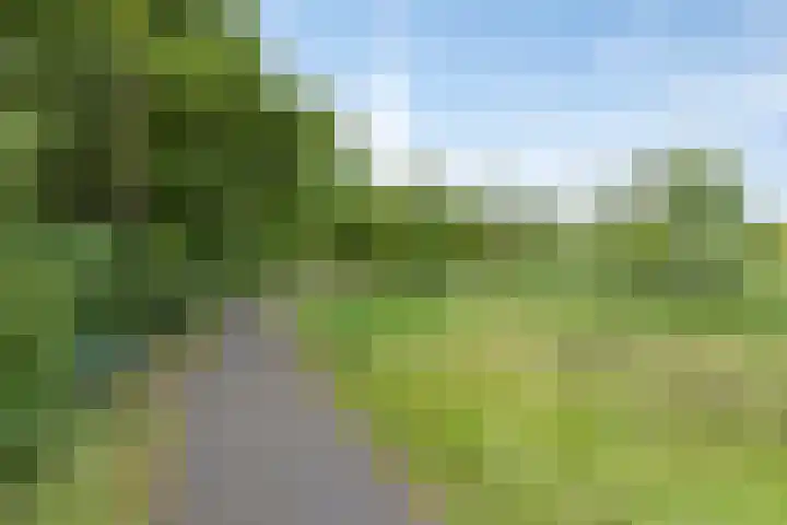 Hertogenhof 8 Goes thumbnail 53