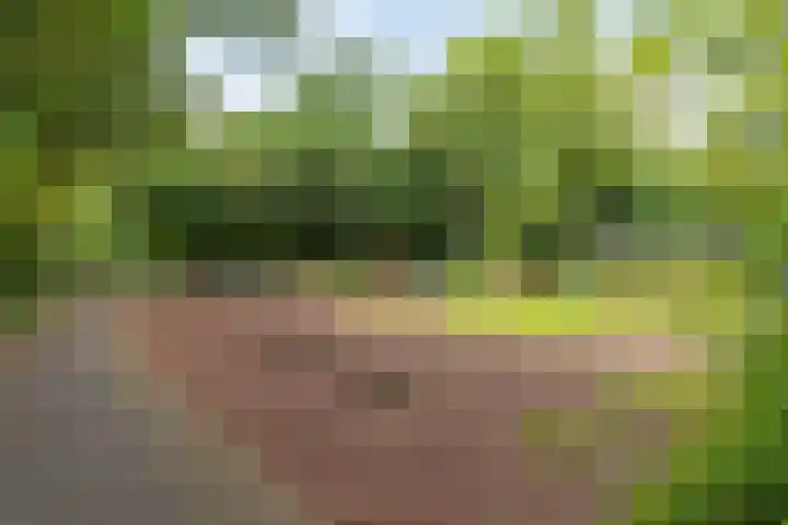 Hertogenhof 8 Goes thumbnail 54