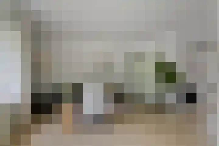 Hertogenhof 8 Goes thumbnail 9