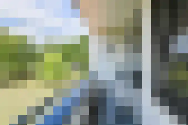 Hertogenlaan 104 Oosterhout thumbnail 17