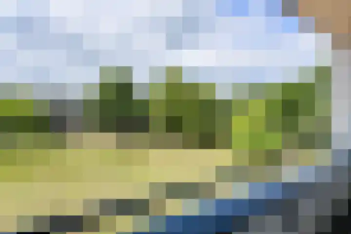 Hertogenlaan 104 Oosterhout thumbnail 18