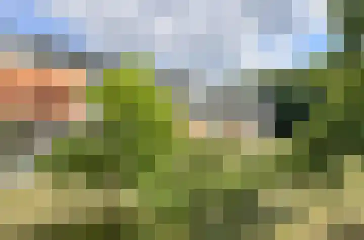 Hertogenlaan 104 Oosterhout thumbnail 28