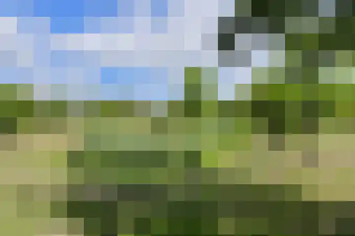 Hertogenlaan 104 Oosterhout thumbnail 35