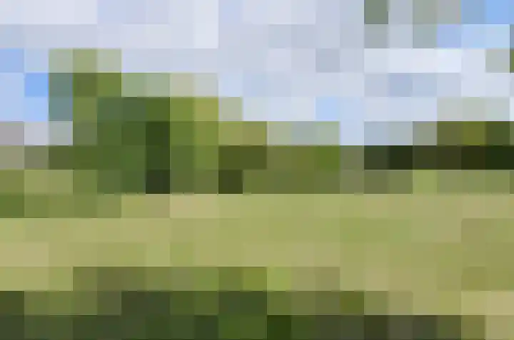 Hertogenlaan 104 Oosterhout thumbnail 36
