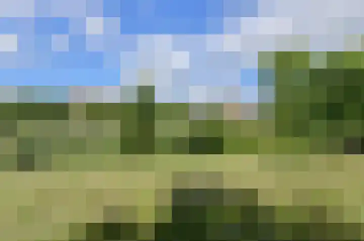 Hertogenlaan 104 Oosterhout thumbnail 37