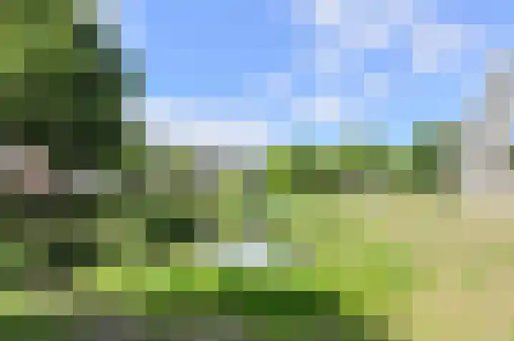 Hertogenlaan 104 Oosterhout thumbnail 38