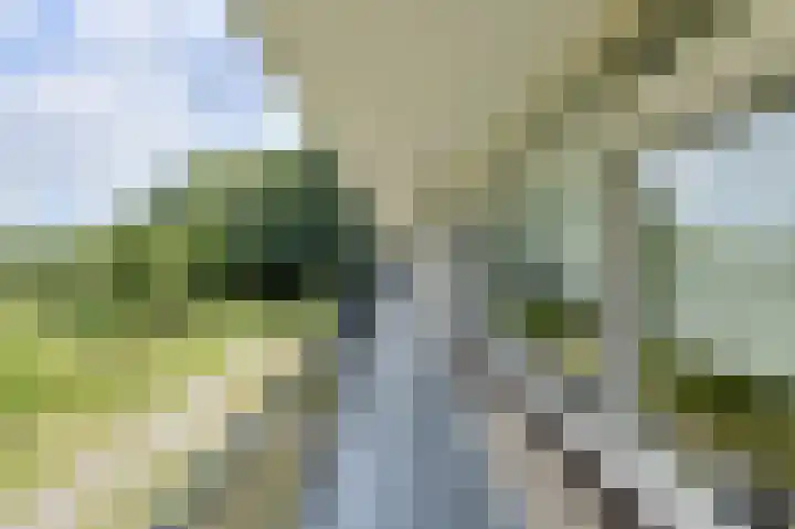 Hertogenlaan 104 Oosterhout thumbnail 6