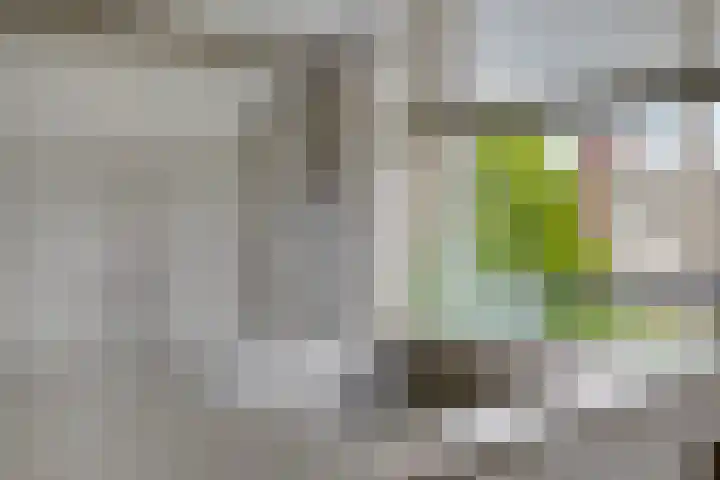 Hertogenlaan 108 Oosterhout thumbnail 13