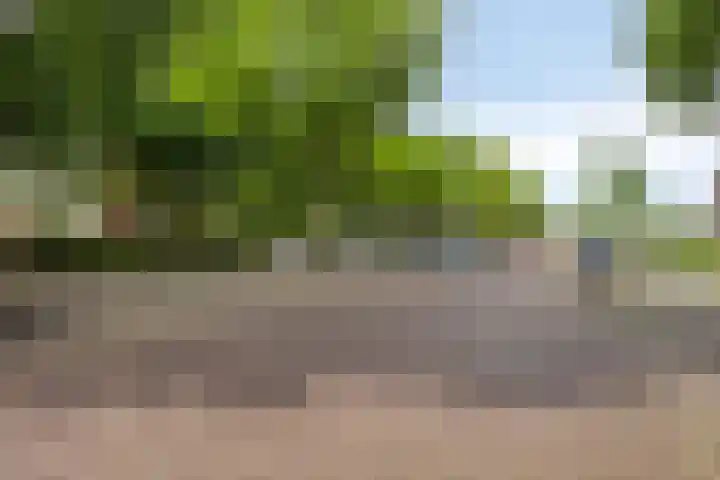Hertogenlaan 108 Oosterhout thumbnail 25