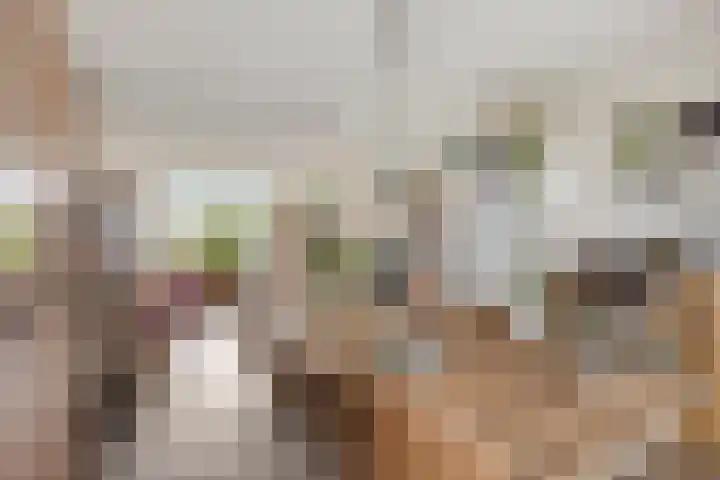 Hertogenlaan 108 Oosterhout thumbnail 7