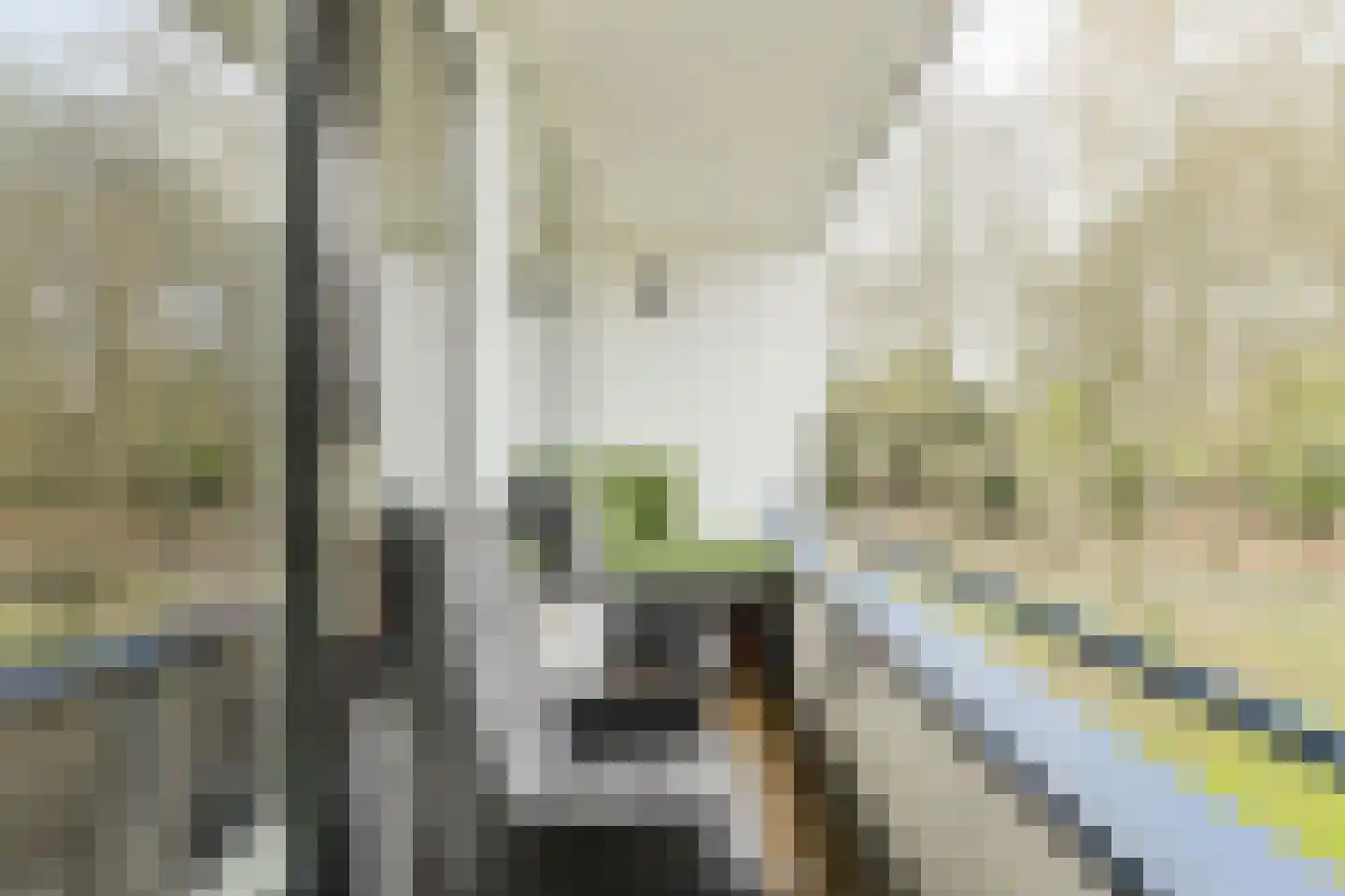 Hertogenlaan 110 Oosterhout thumbnail 12