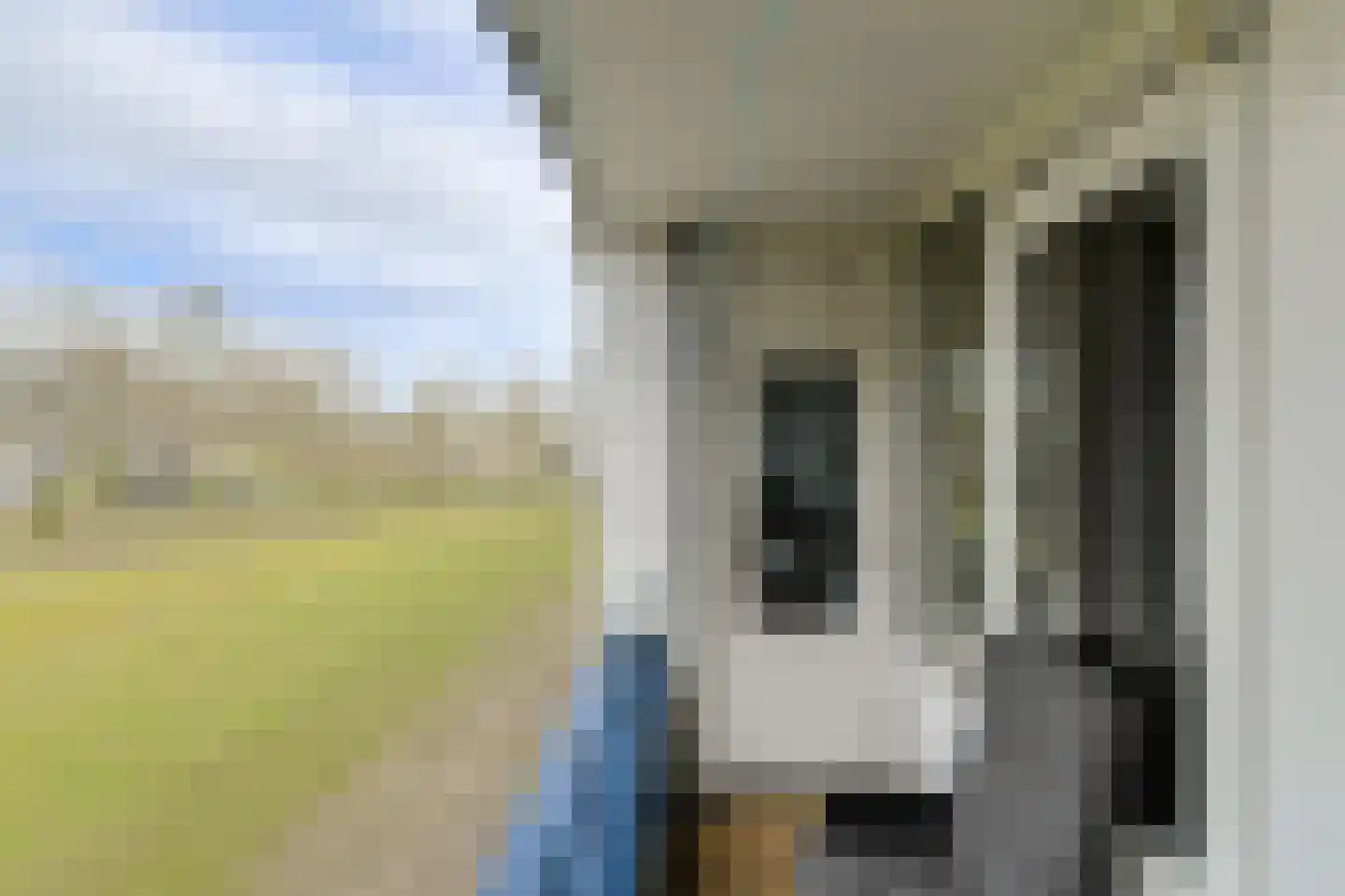 Hertogenlaan 110 Oosterhout thumbnail 14