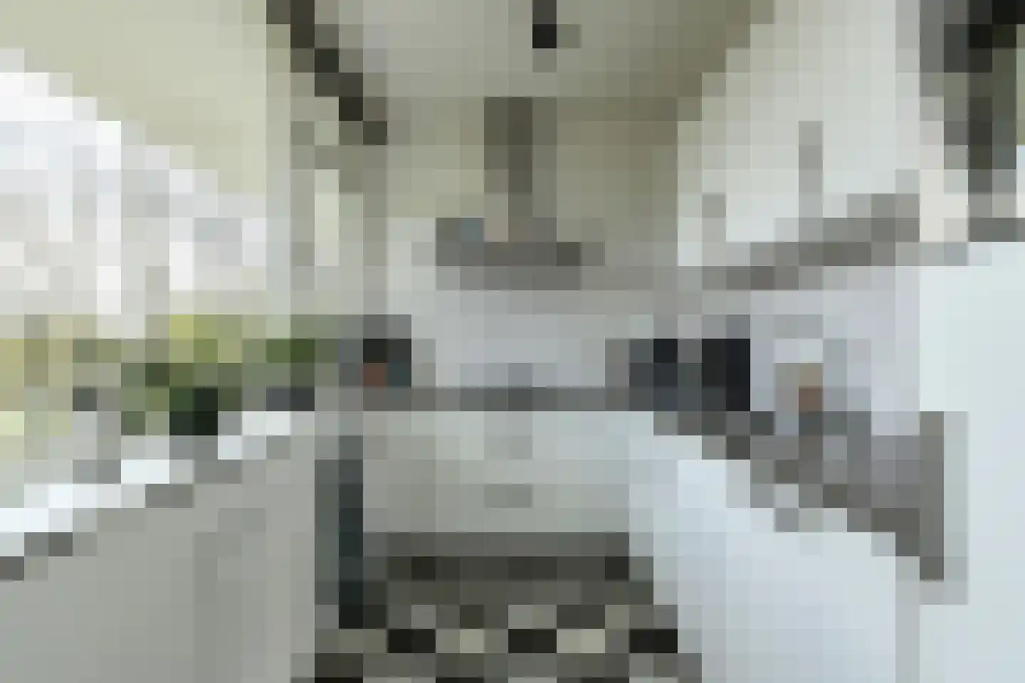 Hertogenlaan 110 Oosterhout thumbnail 17