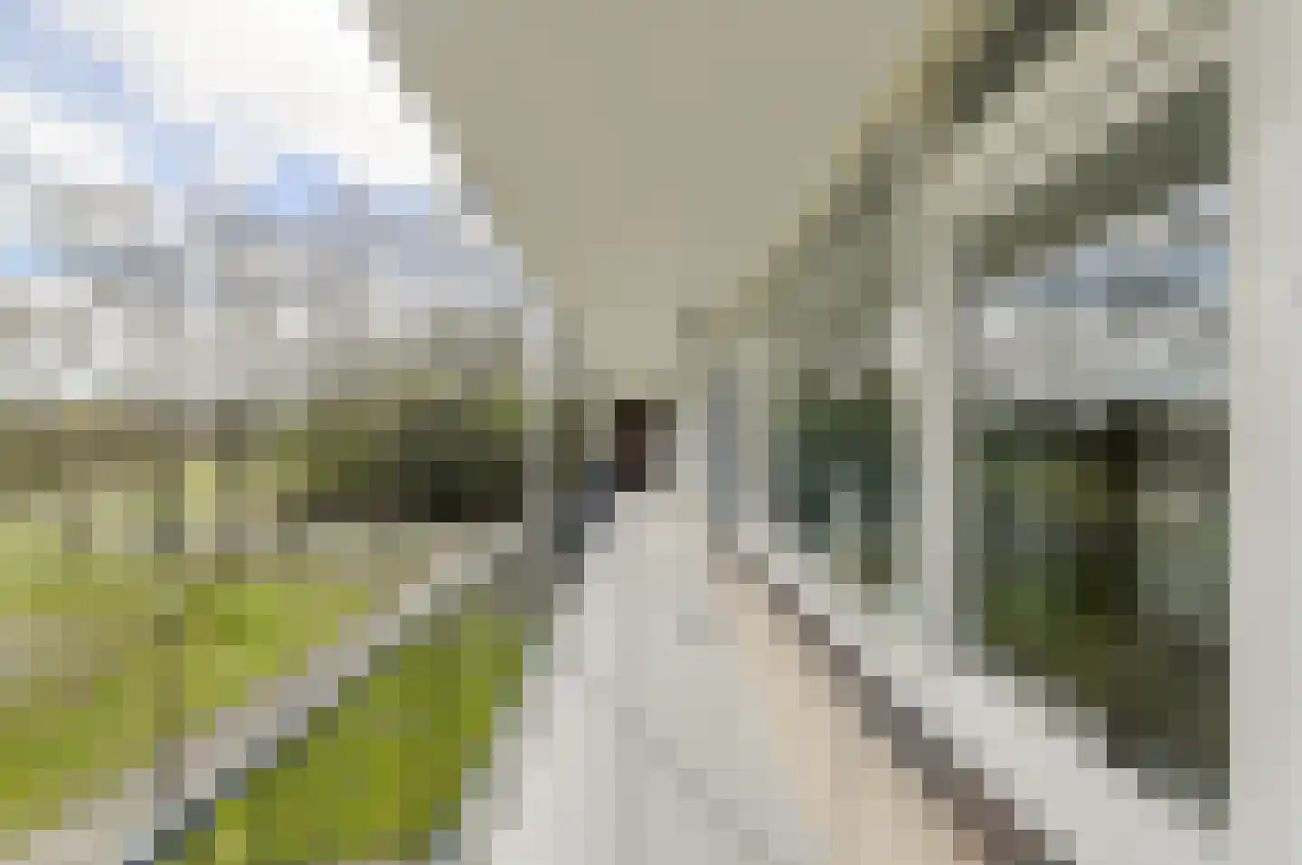 Hertogenlaan 110 Oosterhout thumbnail 5