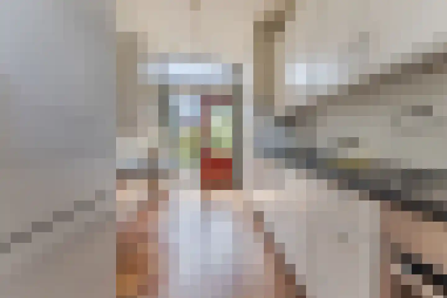 Hertogenlaan 13 Geldrop thumbnail 15