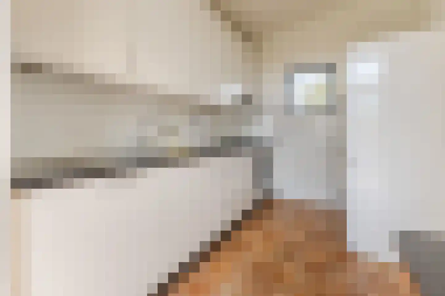 Hertogenlaan 13 Geldrop thumbnail 17
