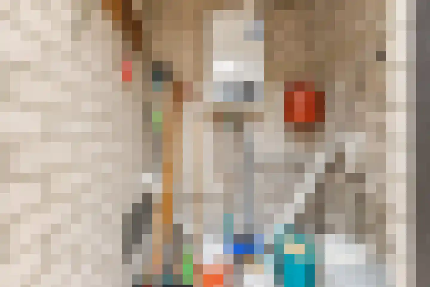 Hertogenlaan 13 Geldrop thumbnail 21