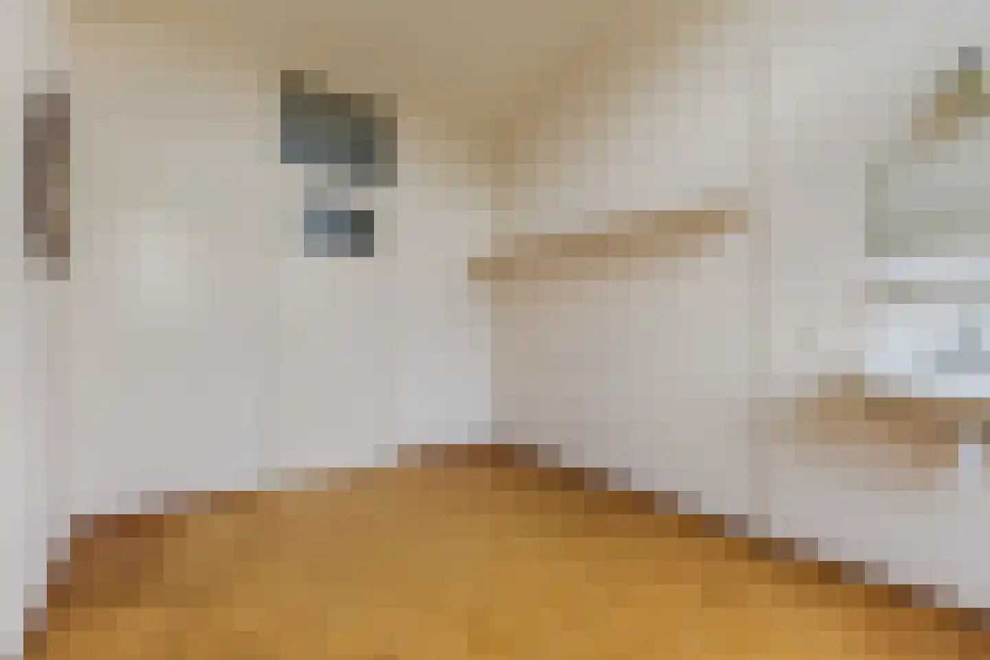 Hertogenlaan 13 Geldrop thumbnail 27