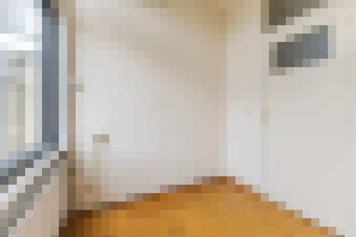 Hertogenlaan 13 Geldrop thumbnail 29