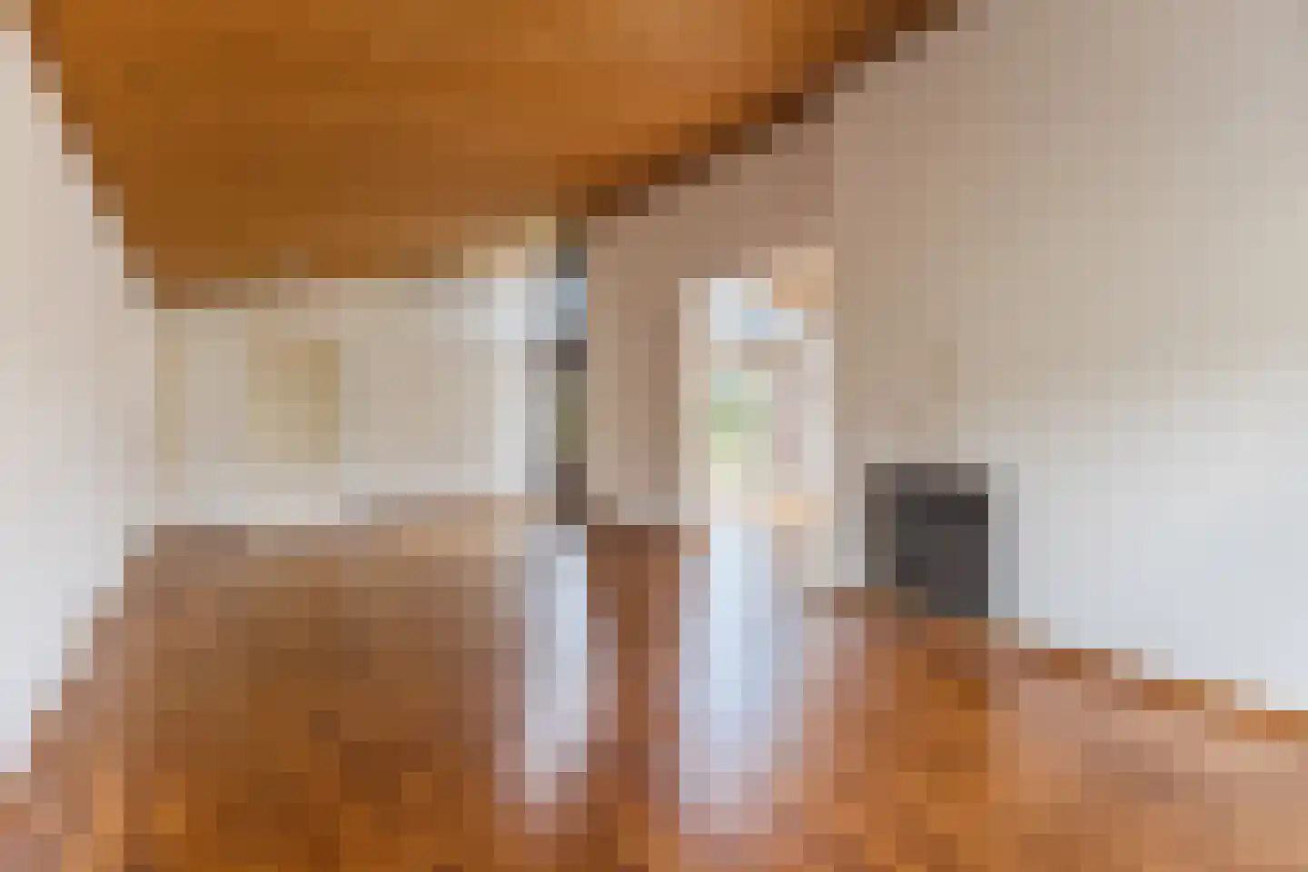 Hertogenlaan 13 Geldrop foto 3