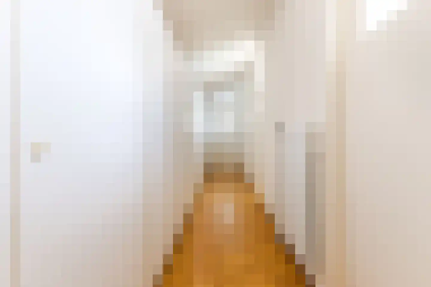 Hertogenlaan 13 Geldrop thumbnail 37