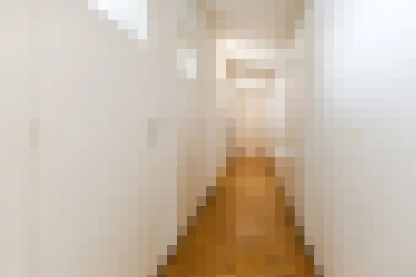 Hertogenlaan 13 Geldrop thumbnail 38