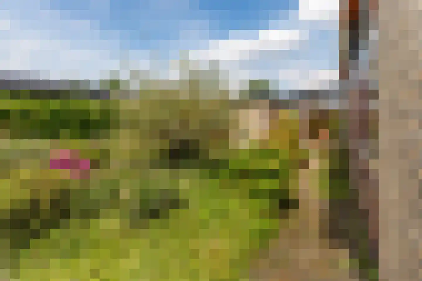 Hertogenlaan 13 Geldrop thumbnail 45