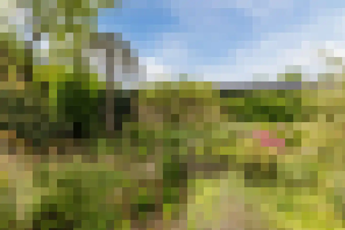 Hertogenlaan 13 Geldrop thumbnail 46