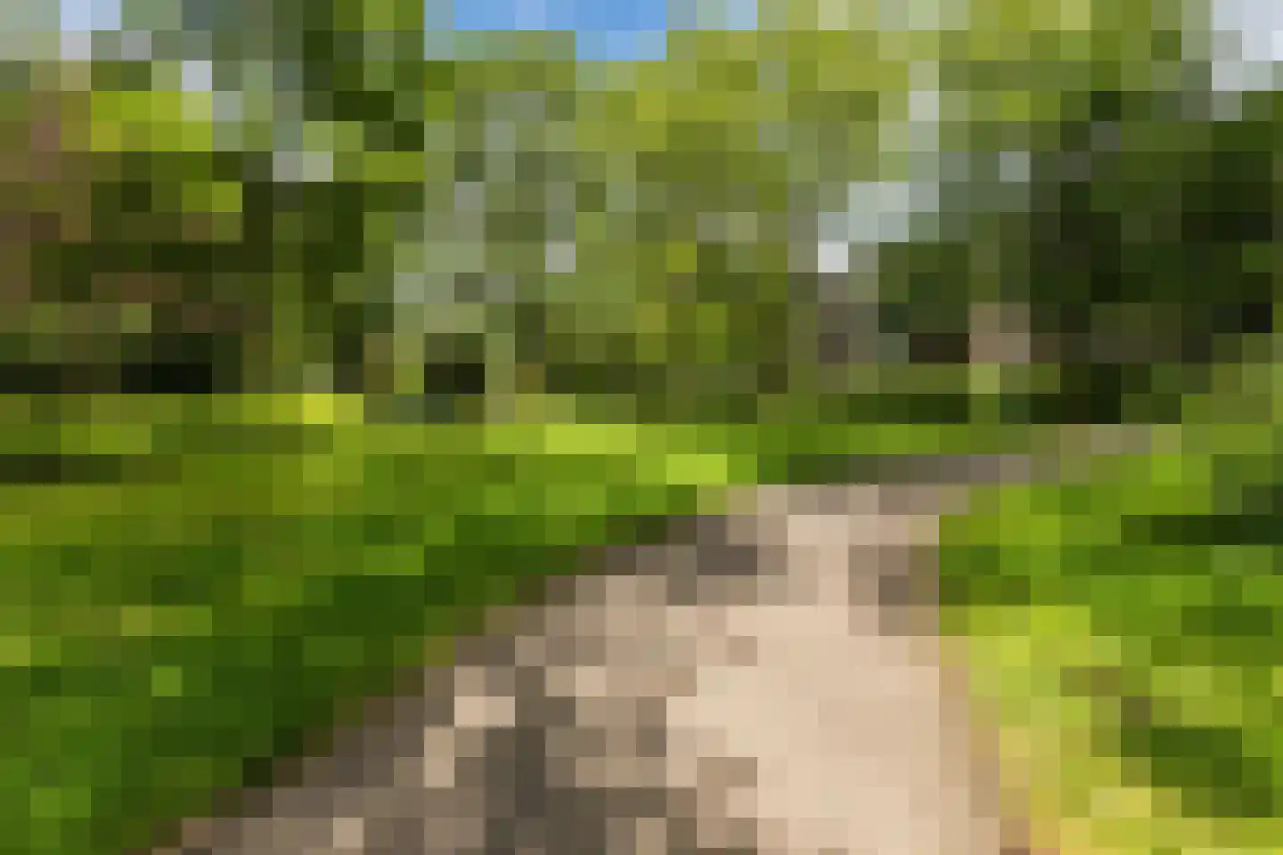 Hertogenlaan 13 Geldrop thumbnail 52