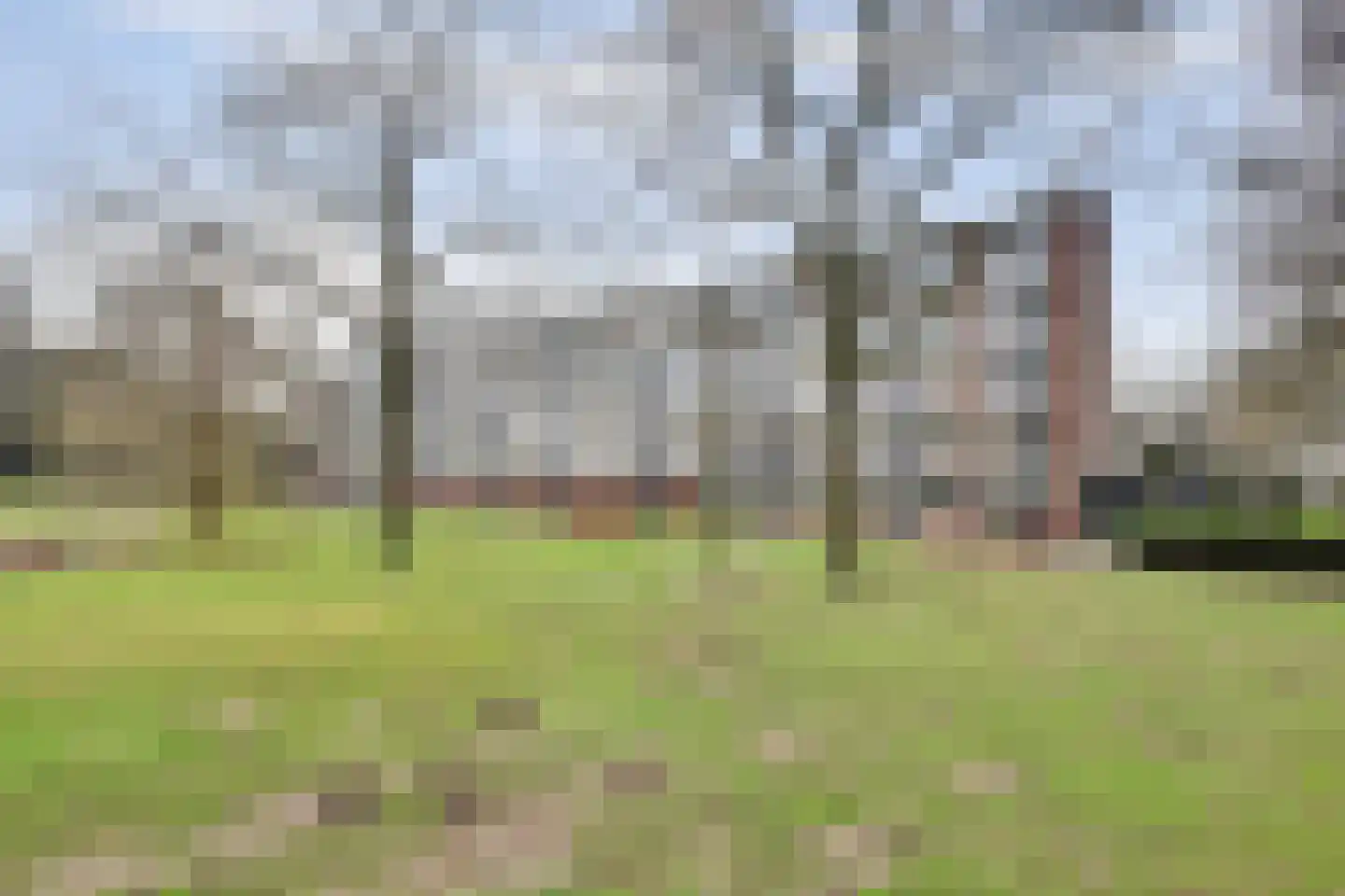 Hertogenlaan 132 Oosterhout thumbnail 34