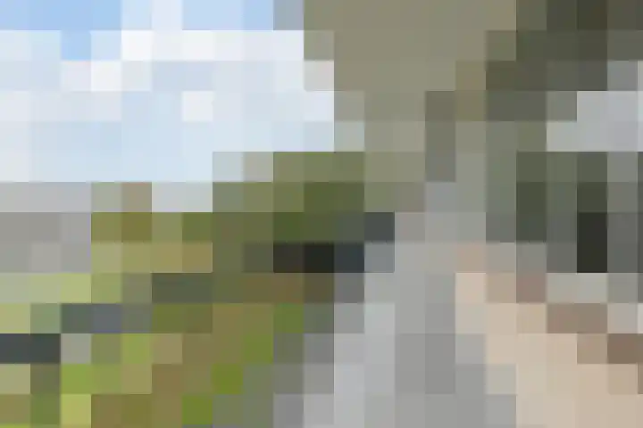 Hertogenlaan 138 Oosterhout thumbnail 21