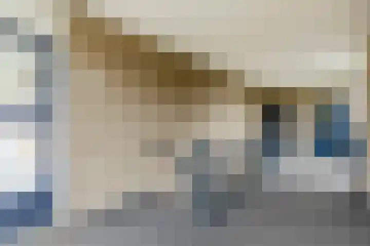 Hertogenlaan 138 Oosterhout thumbnail 22
