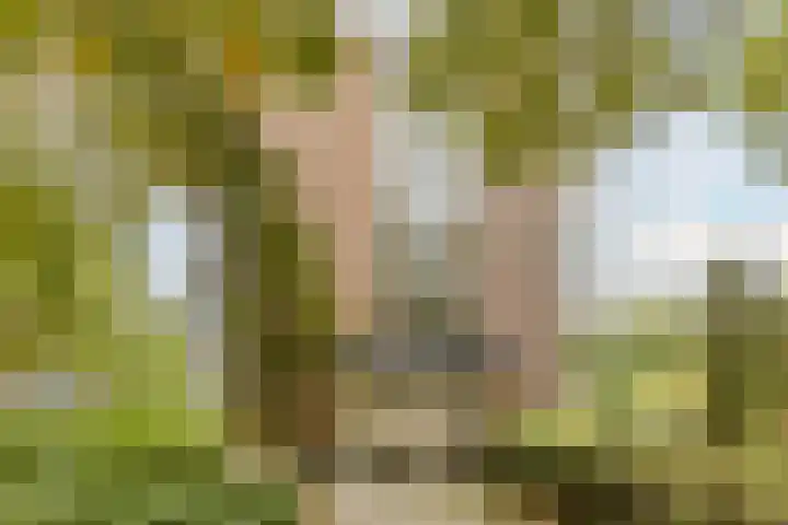 Hertogenlaan 138 Oosterhout thumbnail 25